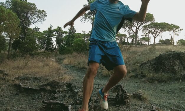 The North Face Limitless Shorts