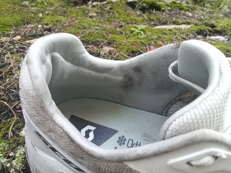 Scott Kinabalu 3