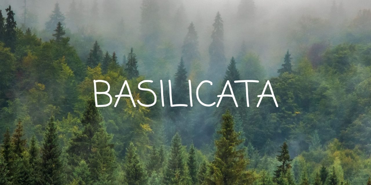 GARE TRAIL 2025 BASILICATA