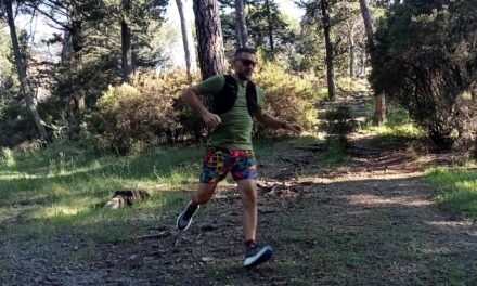 Rewoolution Trick maglietta in lana merino