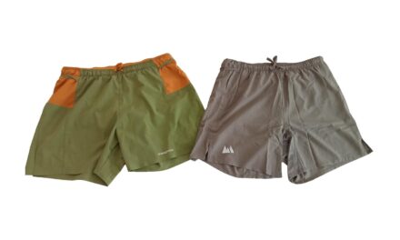 WILDTEE BRYCE 3.0 vs PATAGONIA STRIDER PRO