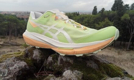 ASICS FUJISPEED 4