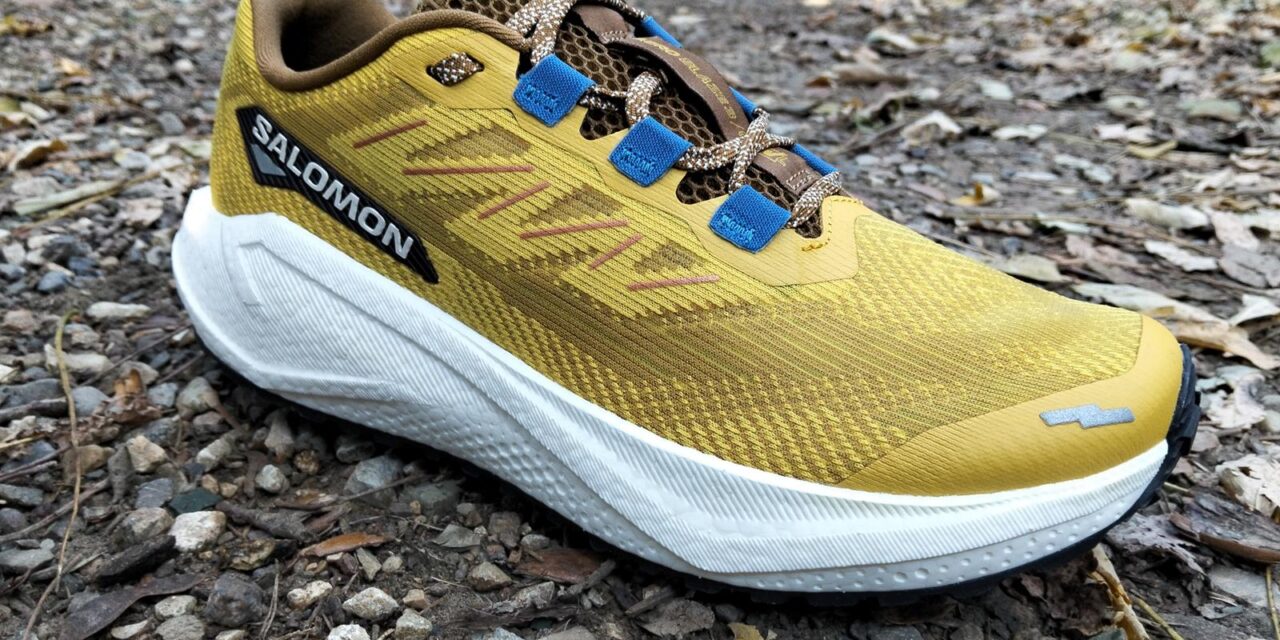 SALOMON AERO BLAZE 3 GRVL