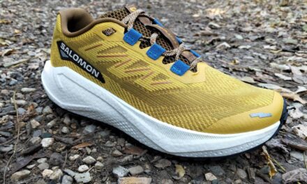 SALOMON AERO BLAZE 3 GRVL