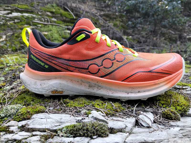 Saucony Peregrine 16