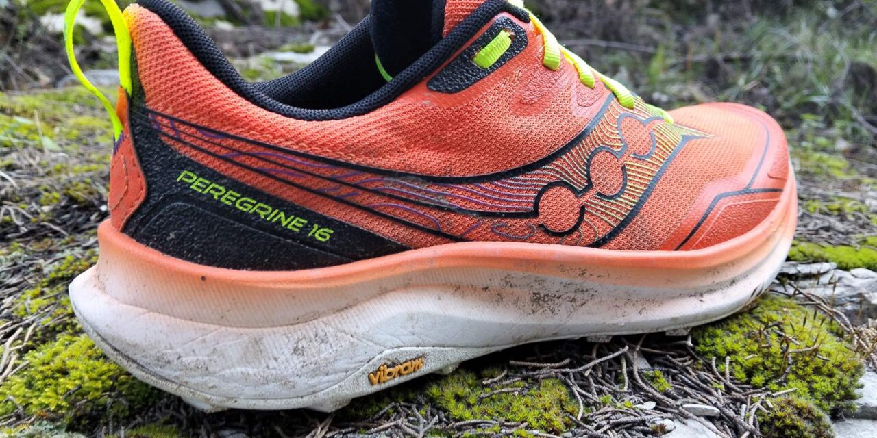 SAUCONY PEREGRINE 16