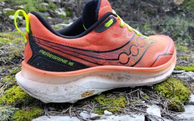 SAUCONY PEREGRINE 16