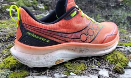 SAUCONY PEREGRINE 16