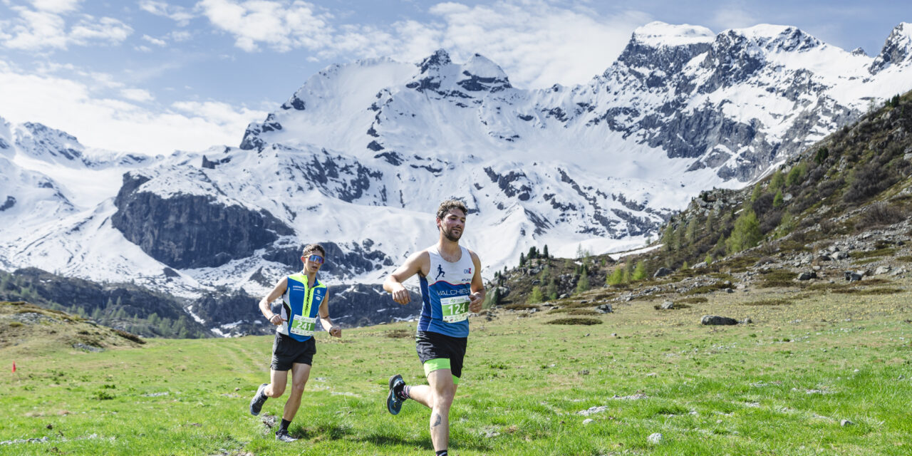 TrailRun Alta Valtellina 2026