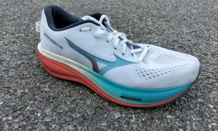 MIZUNO WAVE RIDER 30: la rinascita
